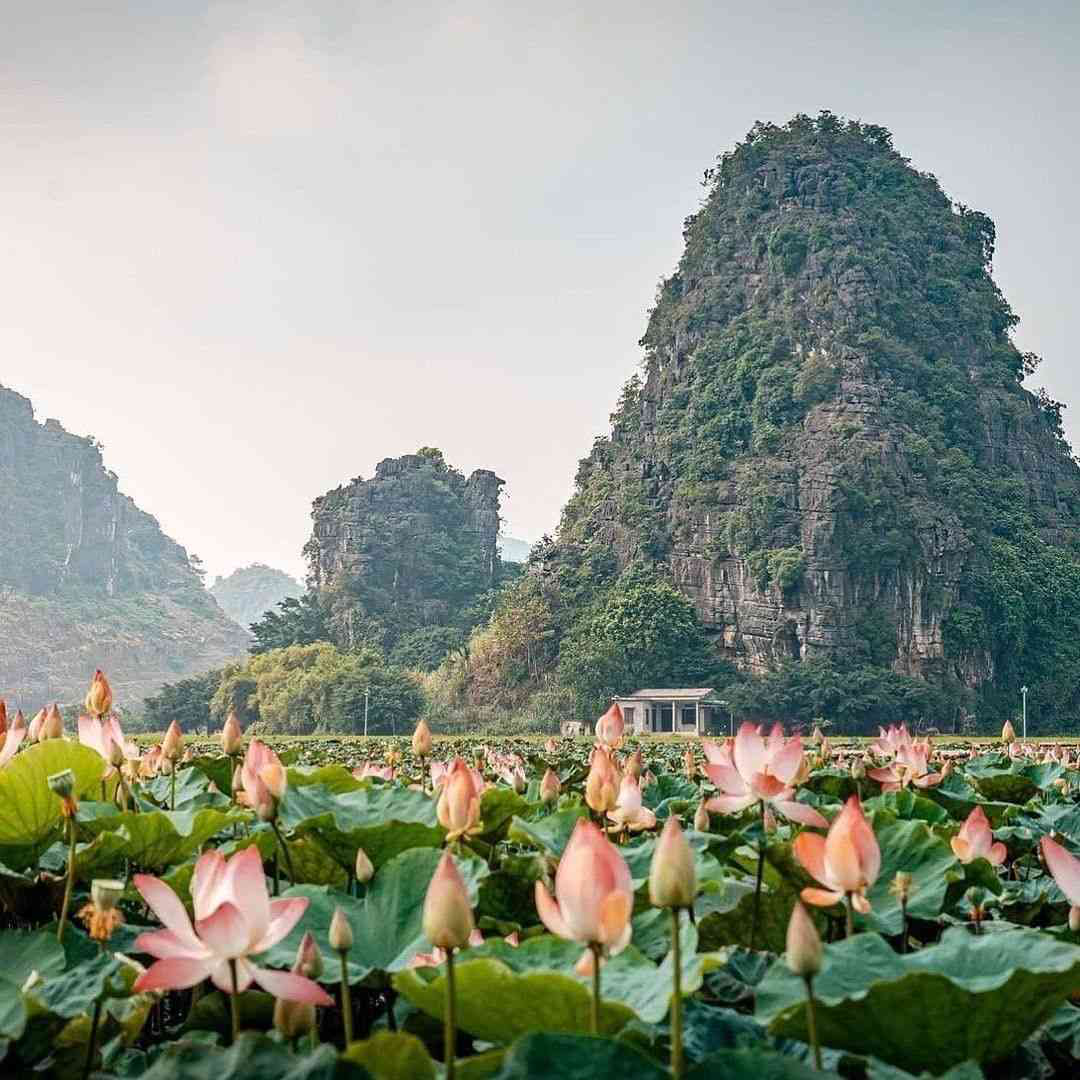 Phát hiện thêm một ''Vịnh Hạ Long trên cạn'' cách Hà Nội chỉ 80km: Đẹp hoang sơ nhưng hữu tình, có hơn 1000 hang động, còn giữ 2 kỷ lục quốc gia- Ảnh 2.