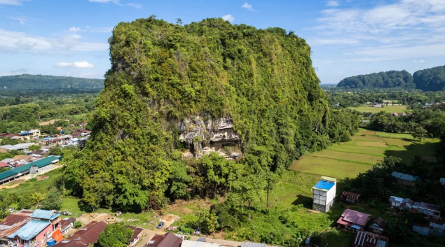 Không phải Tây Ban Nha, bức tranh hang động cổ nhất thế giới ở Đông Nam Á: Niên đại tới 51.200 năm tuổi- Ảnh 1.